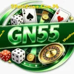 GN55 game