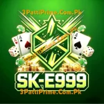 SK-E999-game