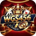 WGS456 game